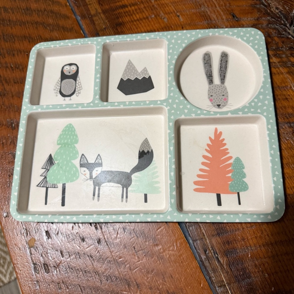 Kids Divided Tray/Plate
